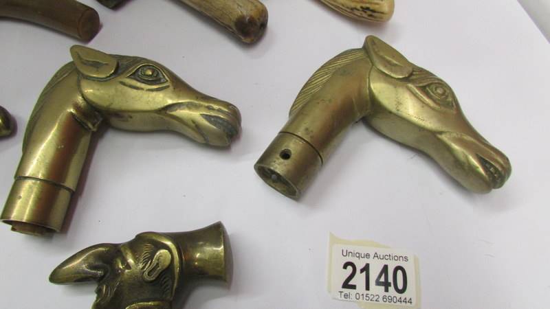 Four brass walking stick handles and three others. - Image 3 of 5