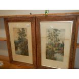A pair of framed and glazed print entitled 'Kingfisher Home' and 'The Hunt of the Swallows'.