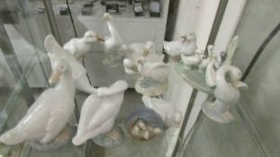 Nine Lladro/NAO duck figures and one other.