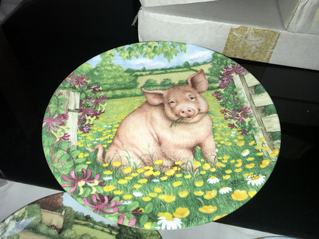 A collection of 5 Royal Doulton plates from 'The pigs in bloom' series including Campion, Buttercup, - Image 2 of 6