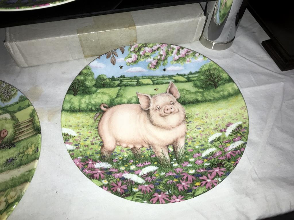 A collection of 5 Royal Doulton plates from 'The pigs in bloom' series including Campion, Buttercup, - Image 6 of 6