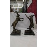 A pair of Bronzed spelter boxing hares on marble bases.