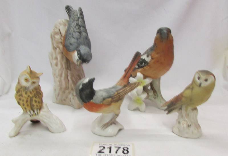 Five Goebel bird figures including 2 owls.