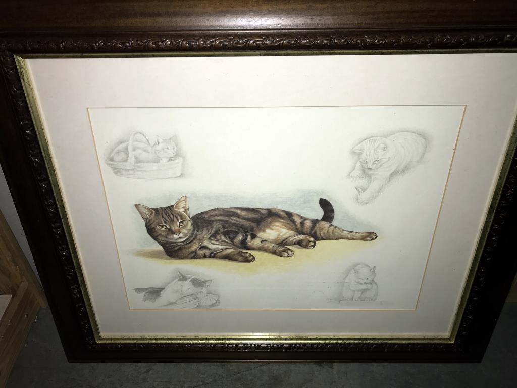 4 framed & glazed prints including cat & 1 other - Image 4 of 6