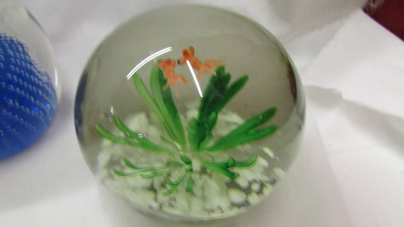 Five glass paperweights and a perspex Royal Mint paperweight inset with £1 coin. - Image 2 of 7