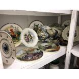 A quantity of cabinet collectors plates depicting birds including Royal Albert & Wedgwood etc.