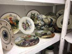 A quantity of cabinet collectors plates depicting birds including Royal Albert & Wedgwood etc.