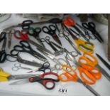 A large quantity of scissors.