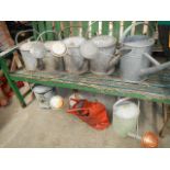 Seven galvanised watering cans etc.