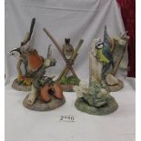 Five Malvern porcelain bird figures including Robin, Blue Tit, Wren etc.