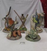 Five Malvern porcelain bird figures including Robin, Blue Tit, Wren etc.