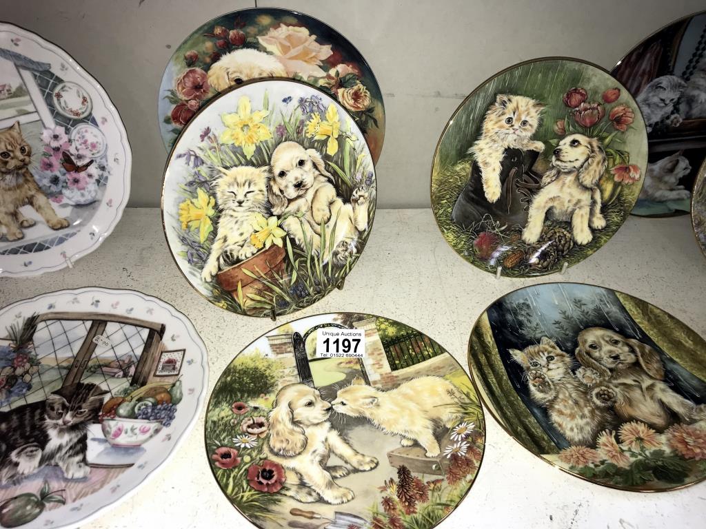 A quantity of collectors cabinet/wall plates depicting cats/kittens/puppies including Royal - Image 3 of 4