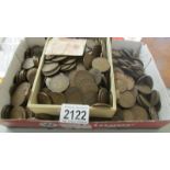 A large quantity of copper coins.