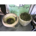 A garden urn & planter