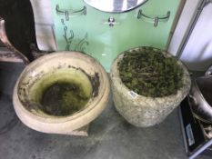 A garden urn & planter