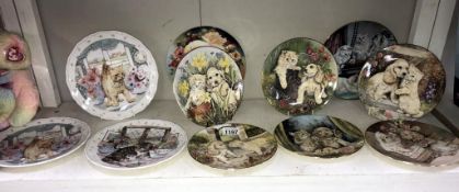 A quantity of collectors cabinet/wall plates depicting cats/kittens/puppies including Royal
