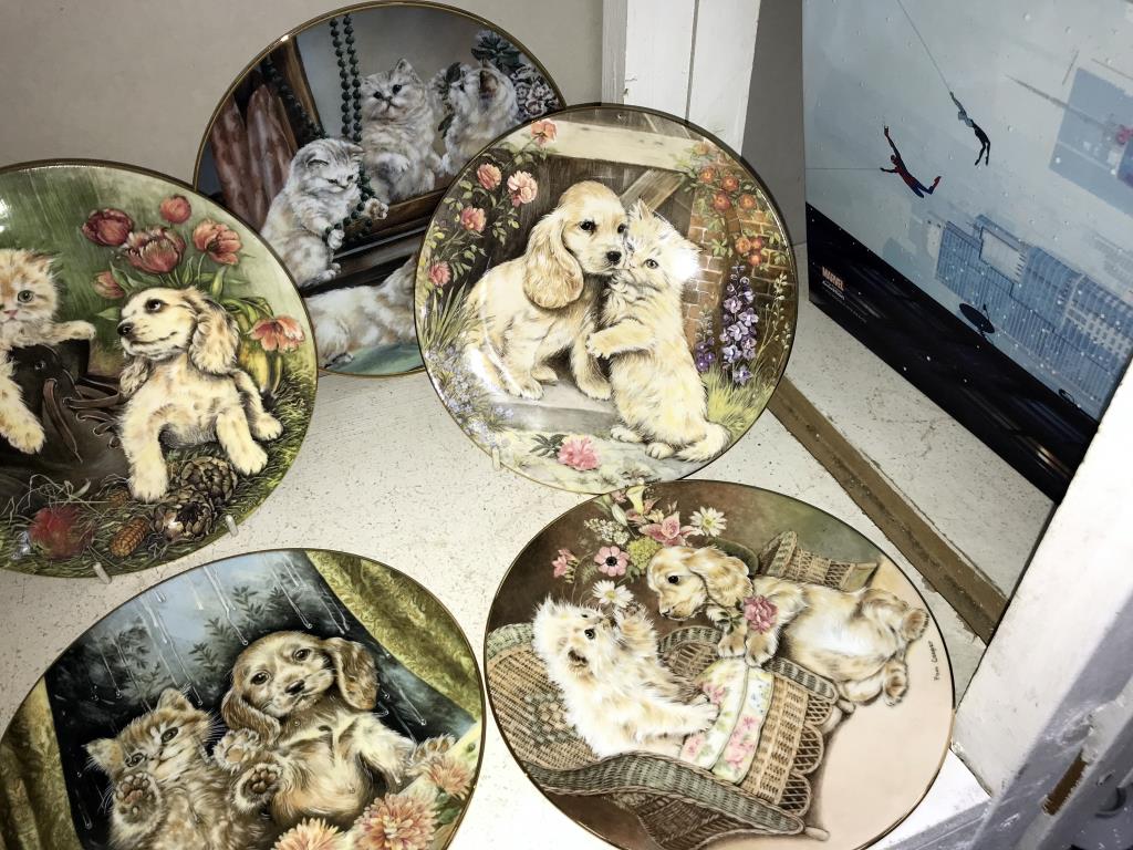 A quantity of collectors cabinet/wall plates depicting cats/kittens/puppies including Royal - Image 4 of 4