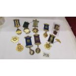 A collection of RAOB medals.