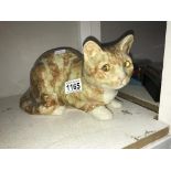 A signed Winstanley cat with glass eyes, size 5, no chips/cracks,