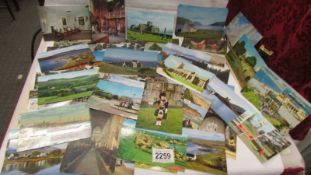 Approximately 50 topographical post cards.