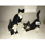 3 signed Winstanley black & white kittens with glass eyes, sizes 2, 2 & 1, no chips/cracks,