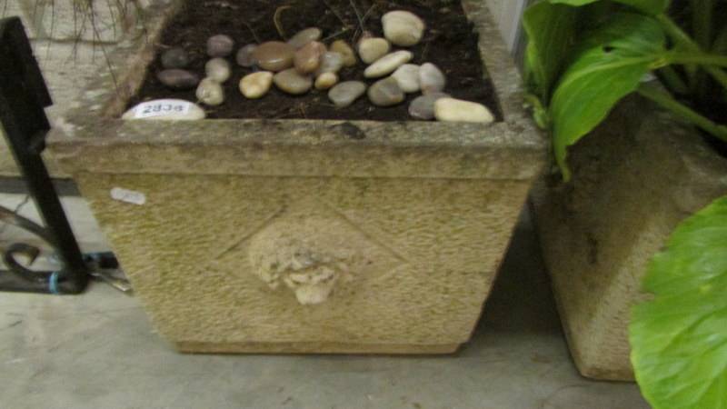 A good pair of garden pots with plants. - Image 2 of 3