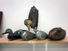 5 vintage plastic decoy birds,