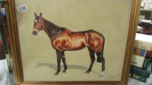 A good gilt framed oil on canvas study of a racehorse signed and dated J Marshall, 1982.