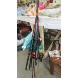 A quantity of fishing rods and reels.