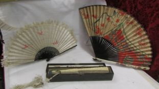 Three antique fans, hand painted and embroidered, fan box needs hinge repair.