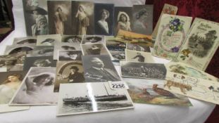 Approximately 70 vintage postcards - Ladies, Birds, topographical etc.