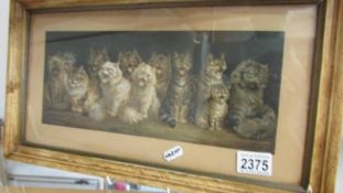 A framed and glazed Louis Wain print (Cat Choir).