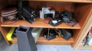 2 shelves of vintage cameras