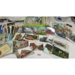 In excess of 200 postcards including transport, wildlife, topographical etc.