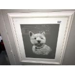 A signed framed & glazed picture of a Terrier dog (55.5cm x 63.