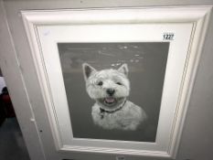 A signed framed & glazed picture of a Terrier dog (55.5cm x 63.