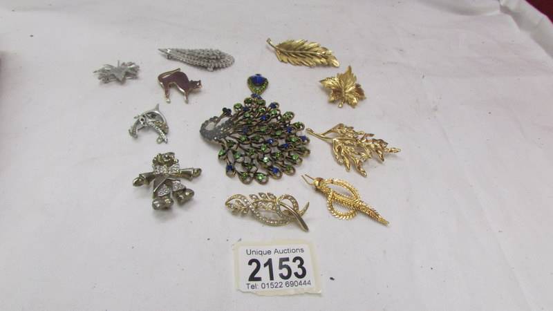 A peacock pendant/brooch and ten other brooches.