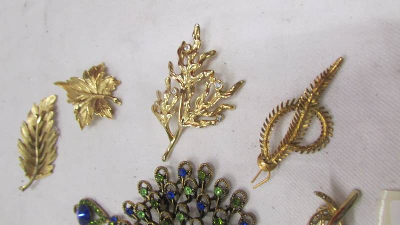 A peacock pendant/brooch and ten other brooches. - Image 3 of 4