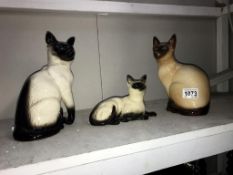 A Royal Doulton Siamese cat,