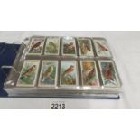 An album of early 20th century cigarette cards (1915-1930's) including Will's, Player's,