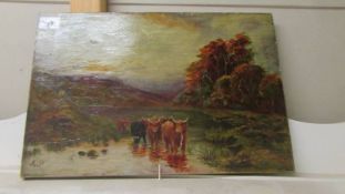 An unframed oil on canvas depicting highland cattle, initialed A P.