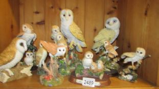 Nine owl figures including Leonardo.