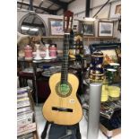 A Skylark acoustic guitar with soft case