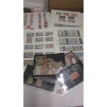 A collection of mainly commonwealth stamps including rare Australian examples.