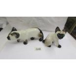 2 Siamese cats - 1950's, signed to Bases, Kensington, designed Winstanley, No. 11 and 15.