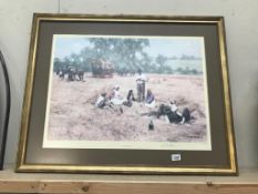 A large framed & glazed signed David Shepherd print 'The lunch break' (97cm x 77cm) (Collect only)