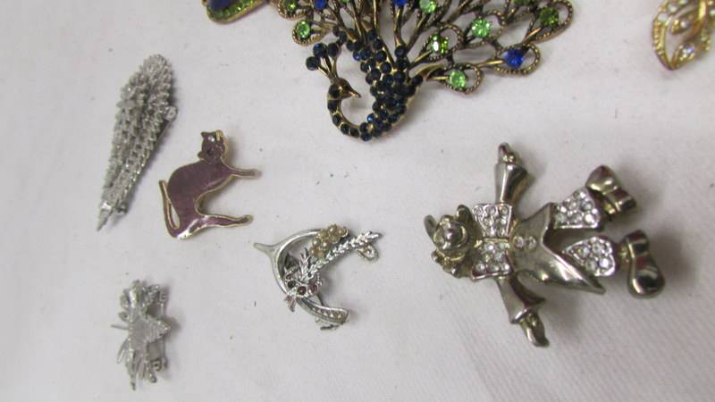 A peacock pendant/brooch and ten other brooches. - Image 4 of 4