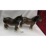 Two Beswick Shire horses.