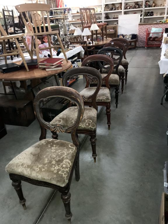 A set of 6 Victorian balloon back dining chairs