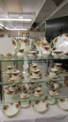 In excess of 50 pieces of Royal Albert Old Country Roses tea and dinner ware.